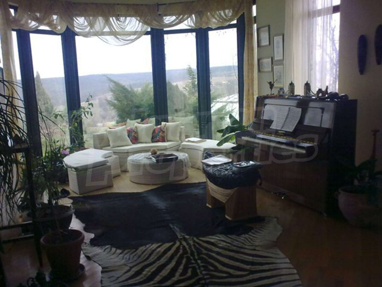 Gallery Picture 9