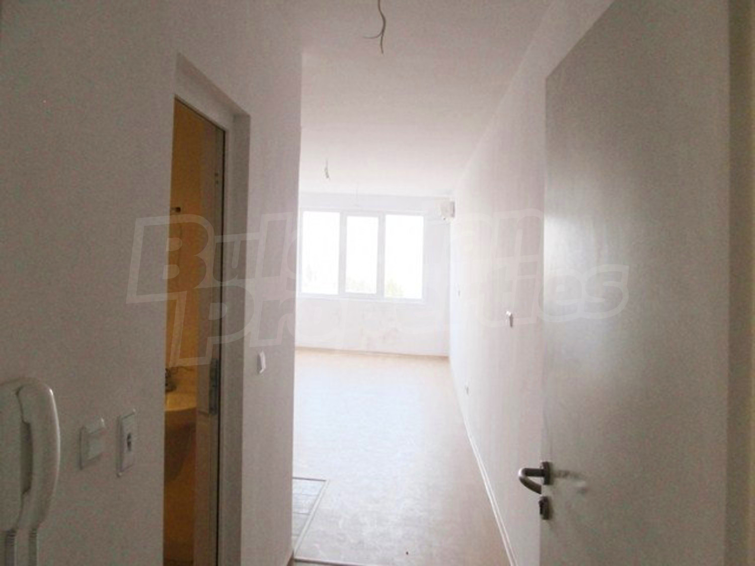 Gallery Picture 27