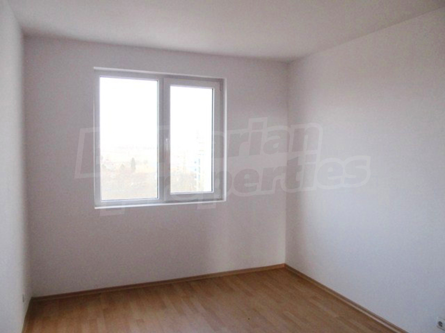 Gallery Picture 33