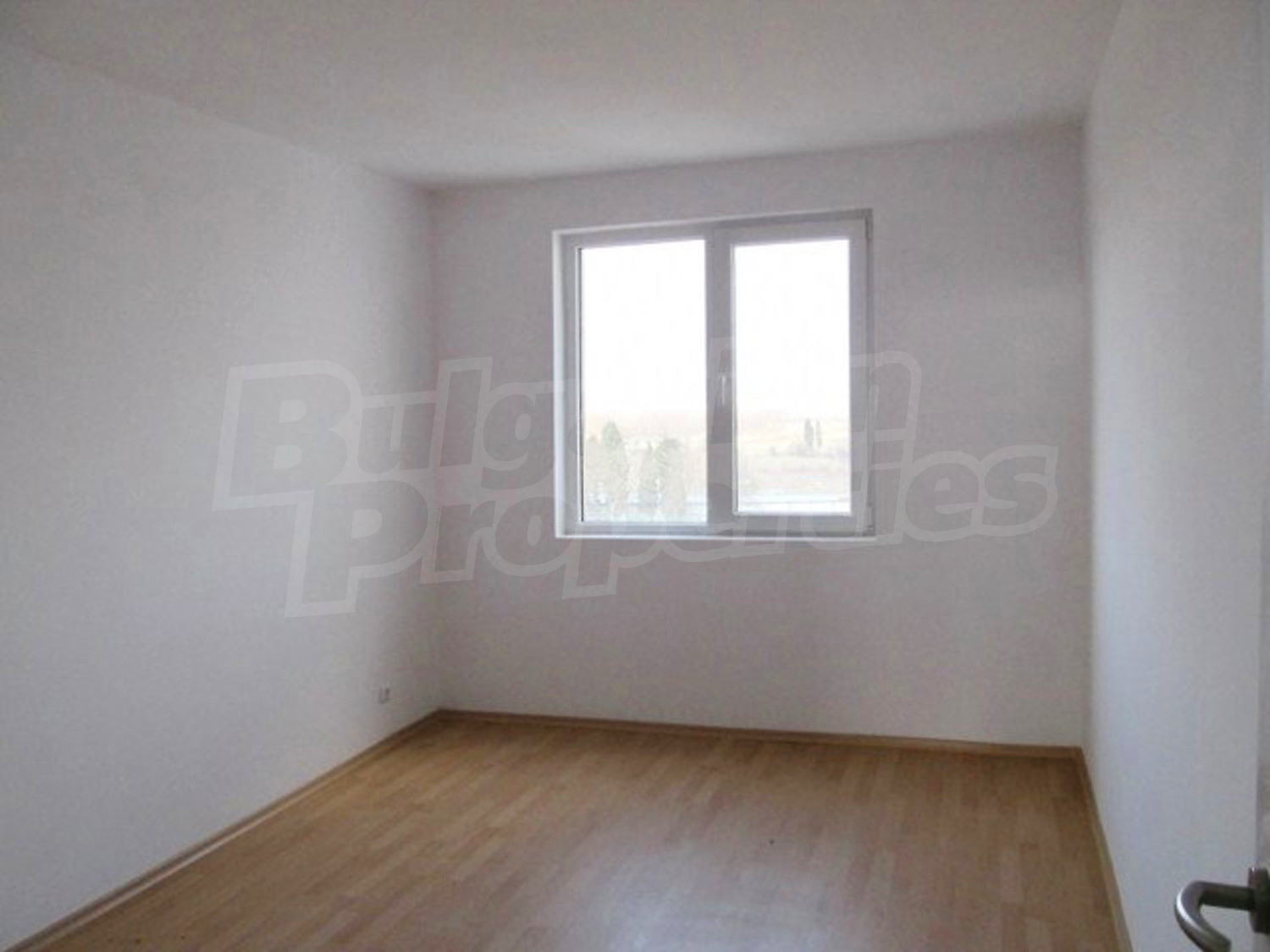 Gallery Picture 34