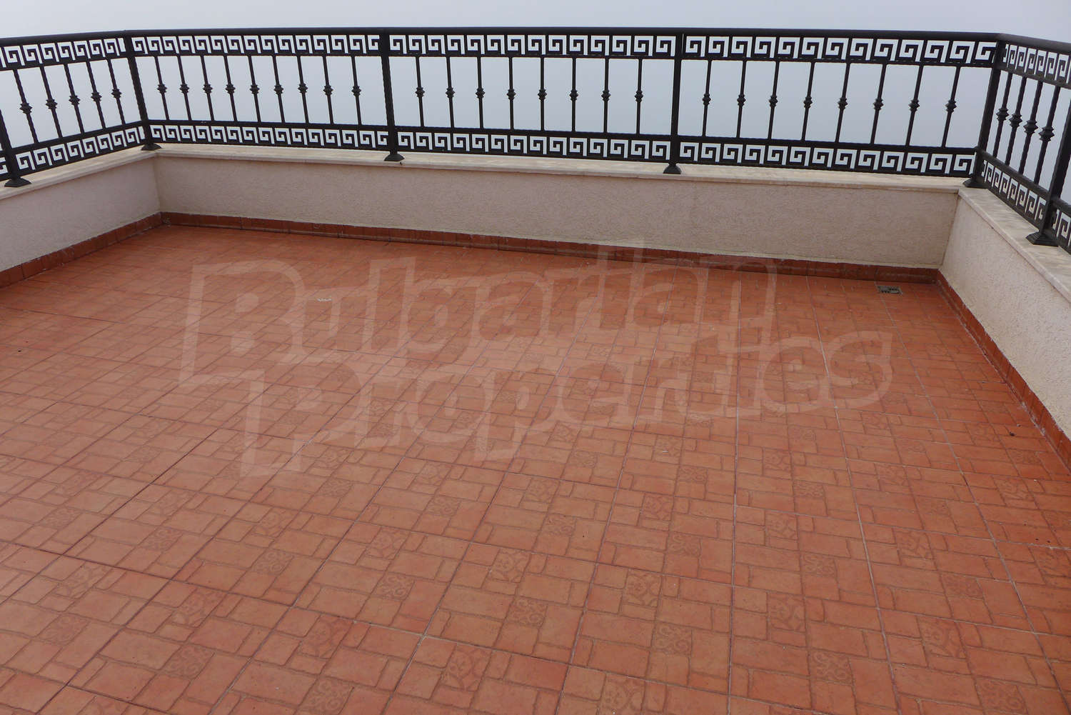 Gallery Picture 21