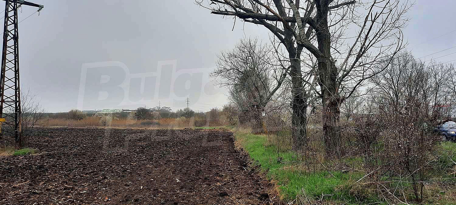 Gallery Picture 6