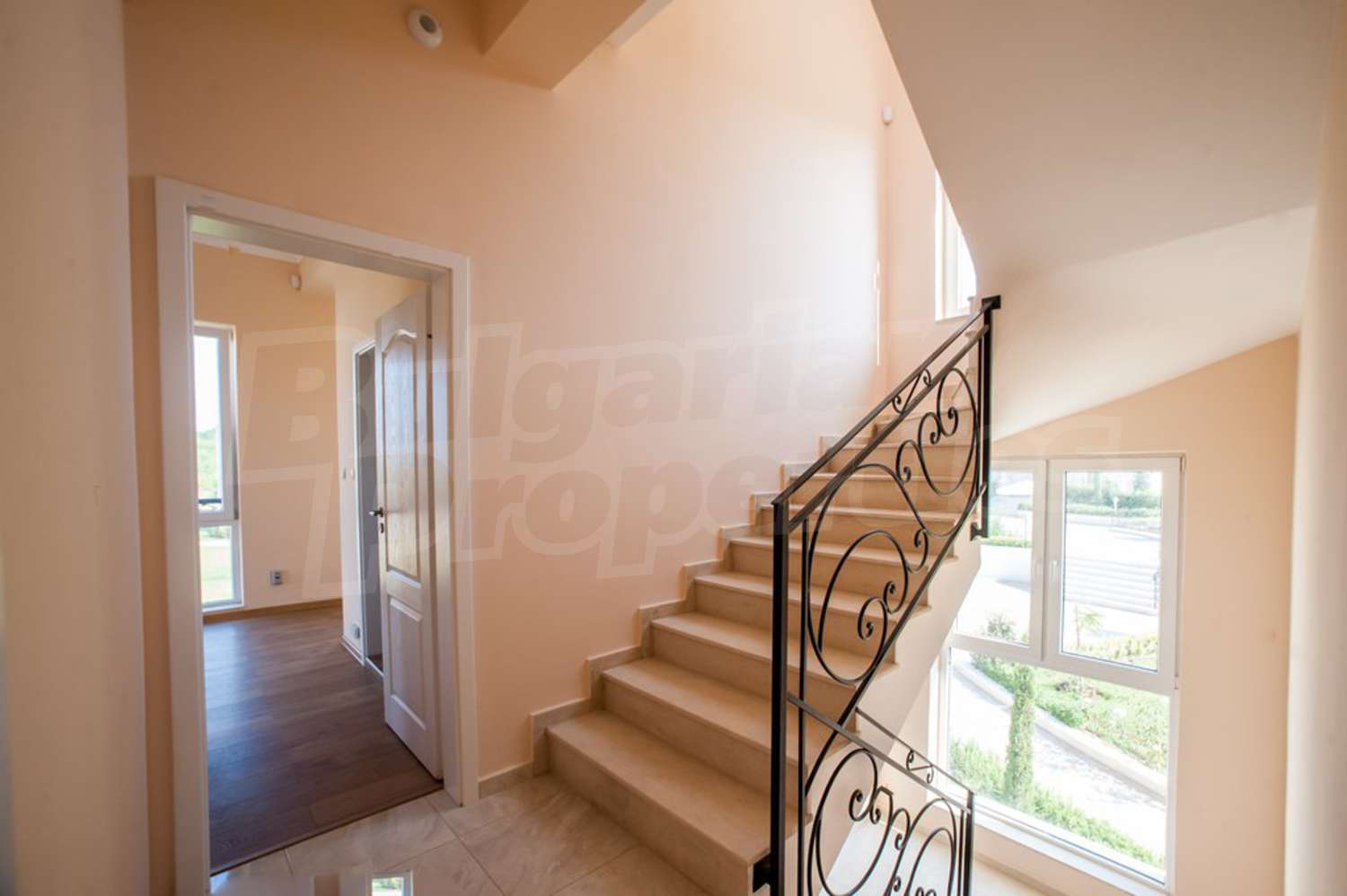 Gallery Picture 16