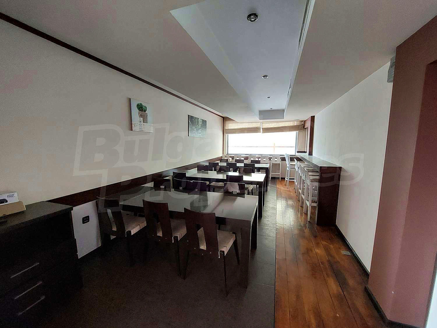 Gallery Picture 6