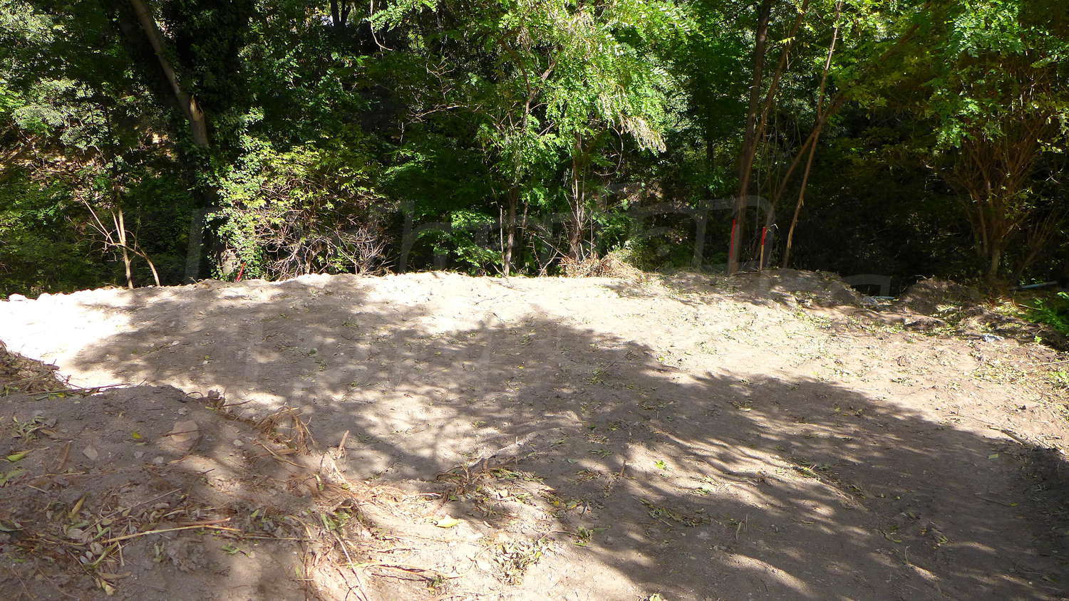 Gallery Picture 11