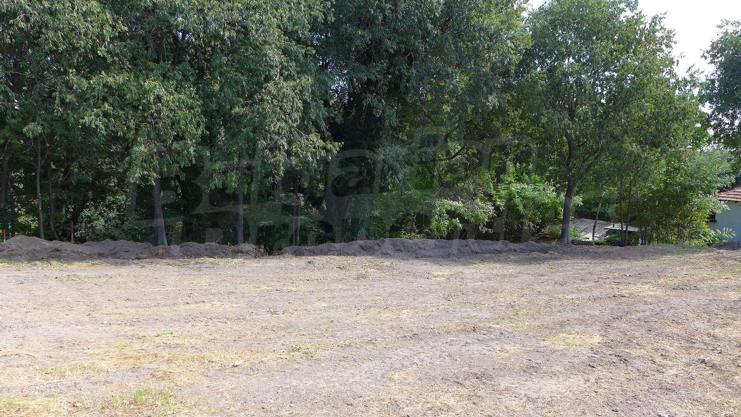 Gallery Picture 6