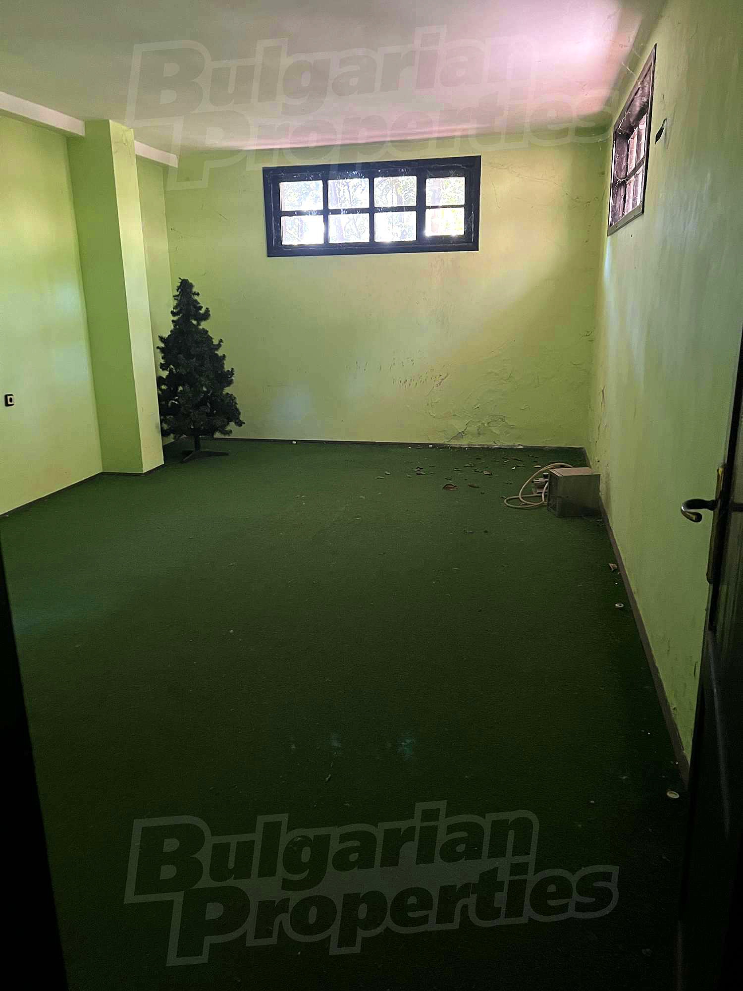 Gallery Picture 9