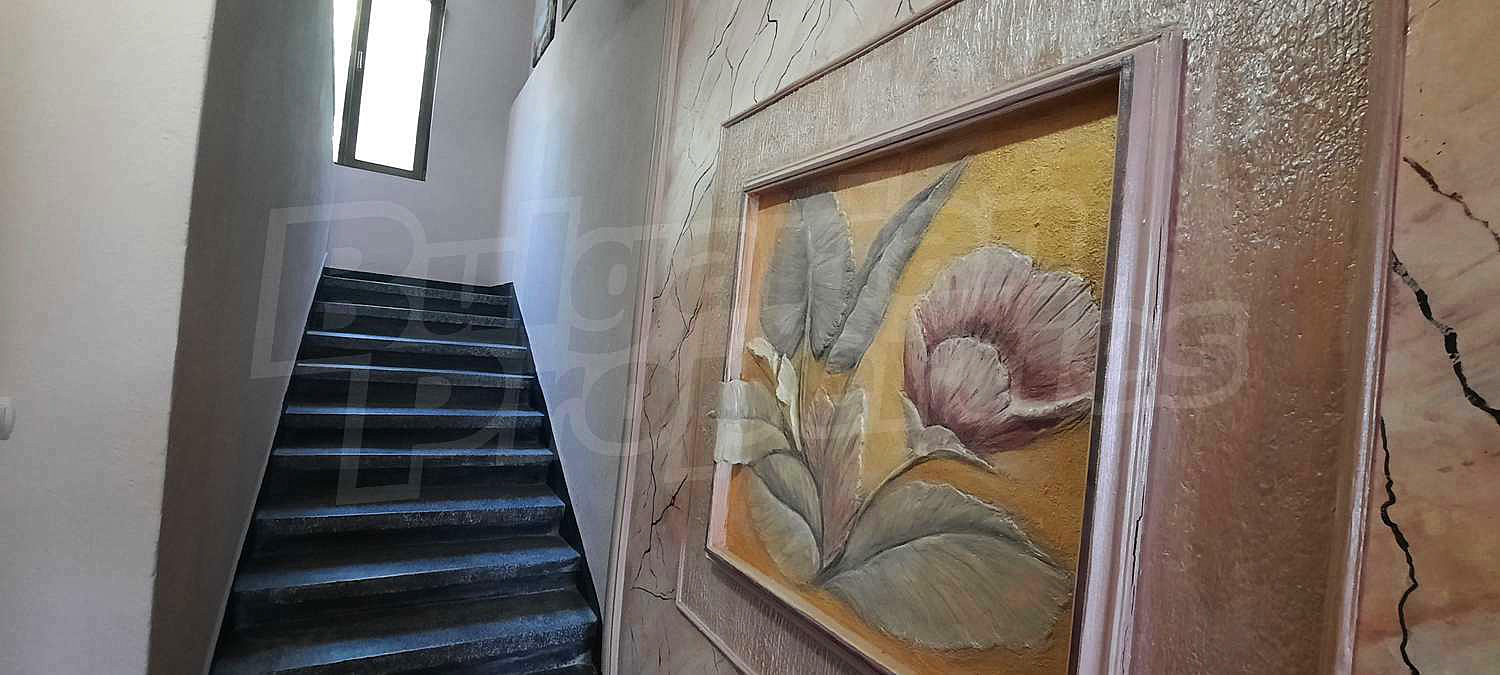 Gallery Picture 12