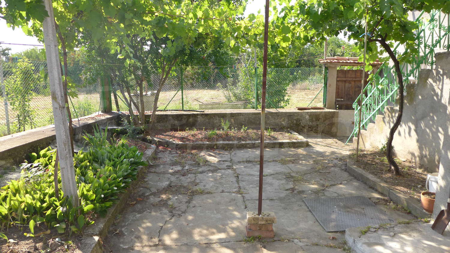 Gallery Picture 51
