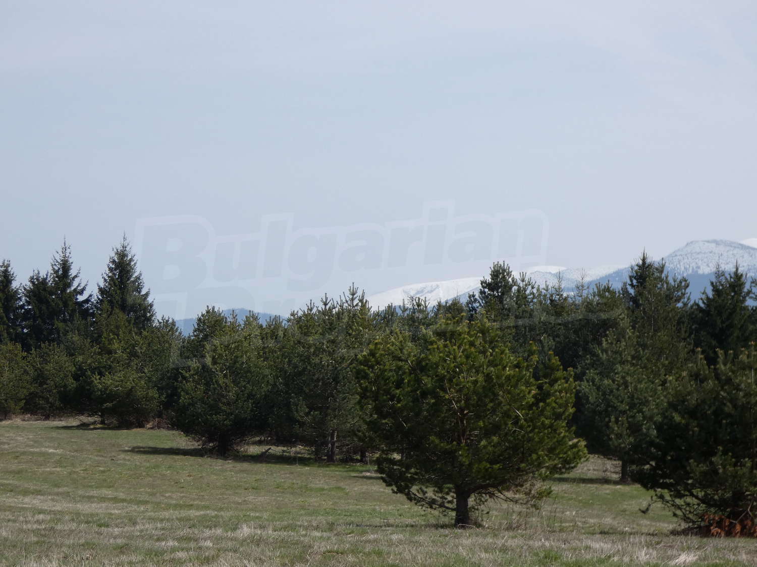 Gallery Picture 11