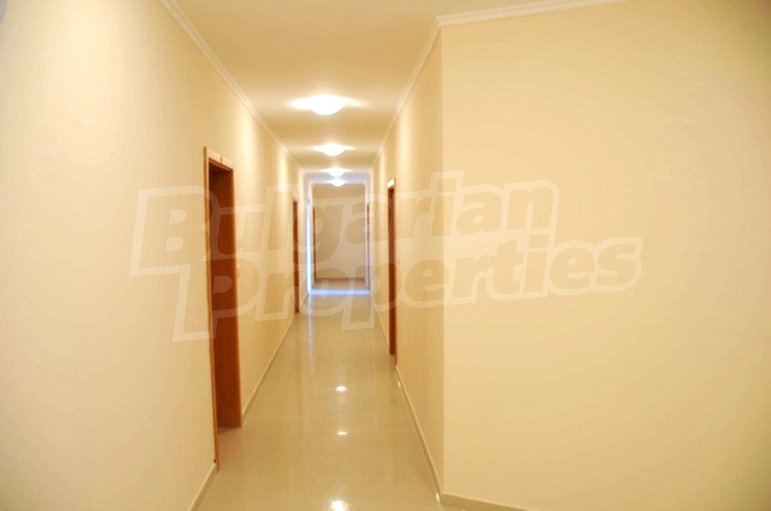 Gallery Picture 16