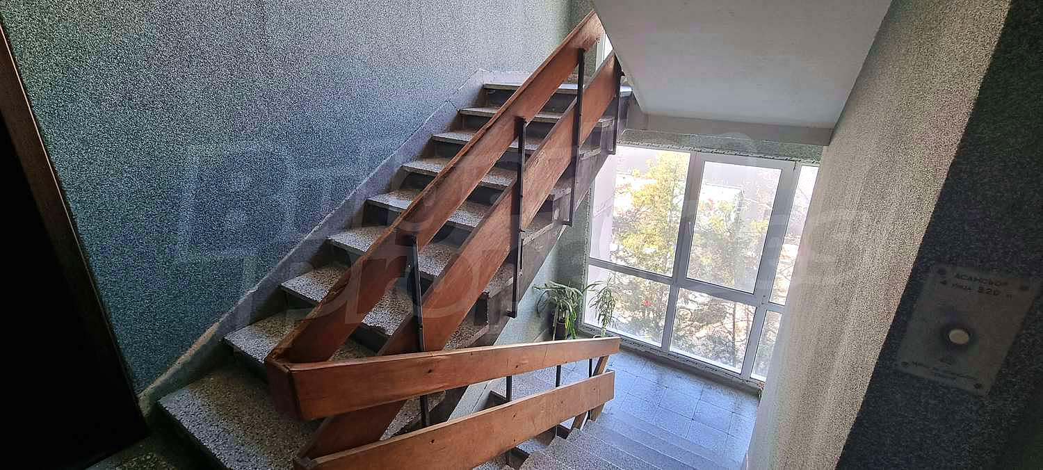 Gallery Picture 16