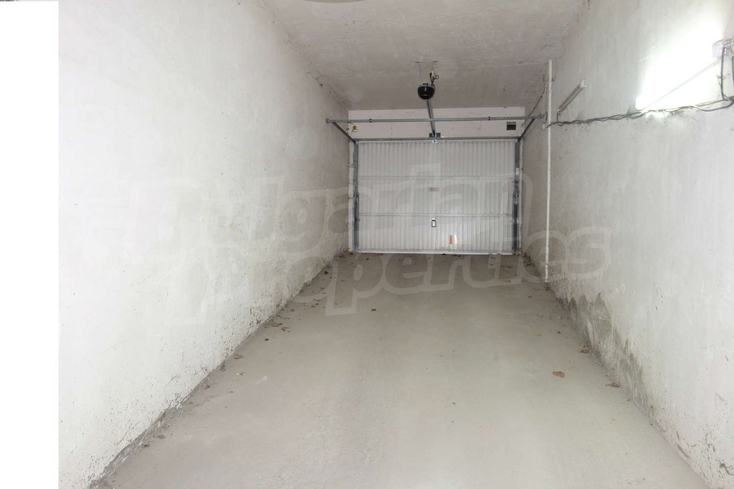 Gallery Picture 16