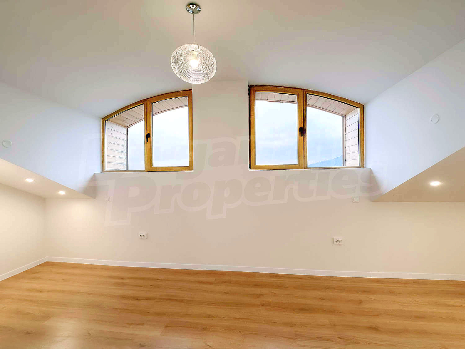 Gallery Picture 16
