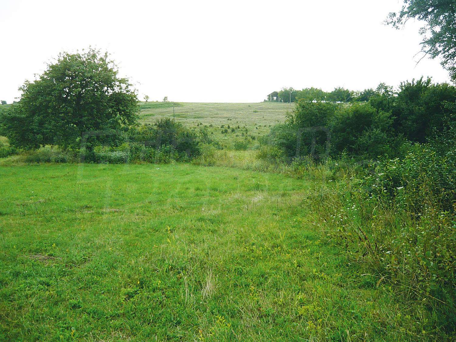 Gallery Picture 5
