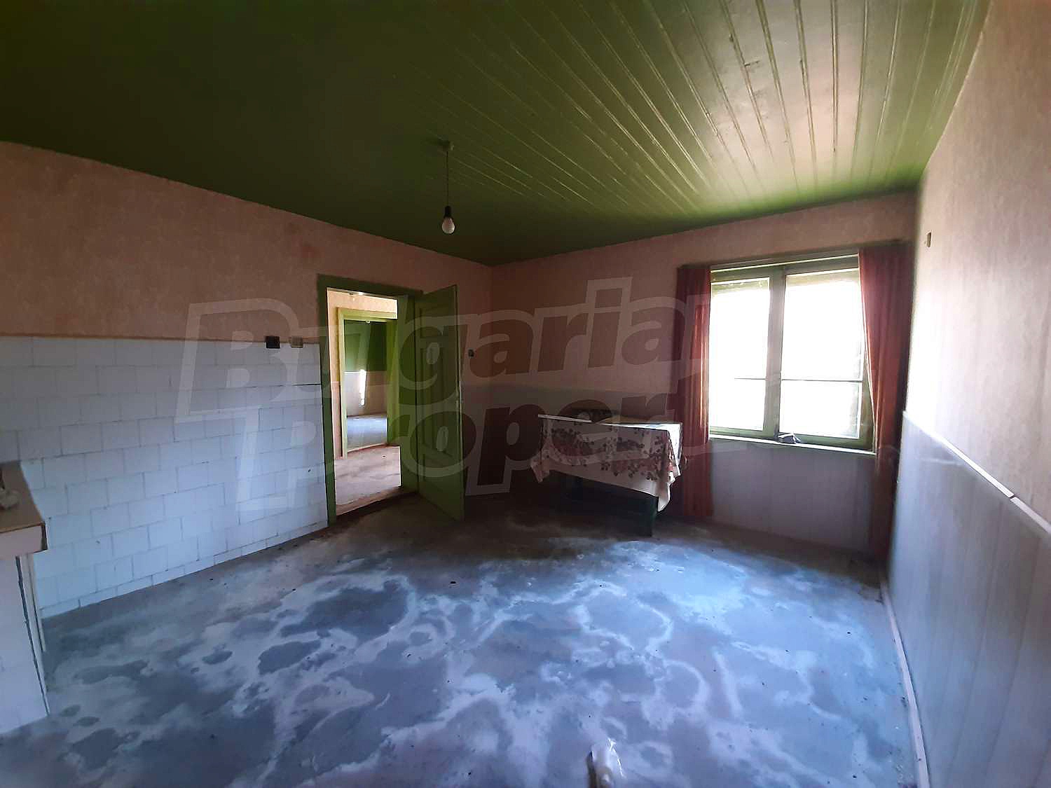 Gallery Picture 10