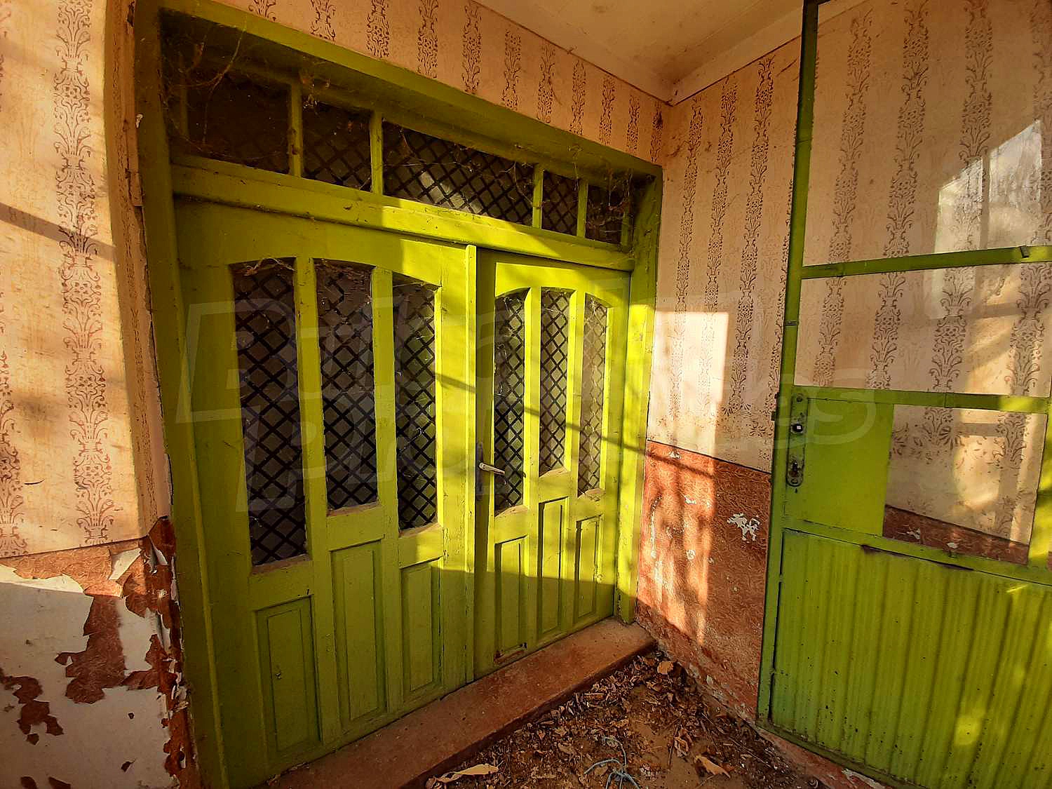 Gallery Picture 16