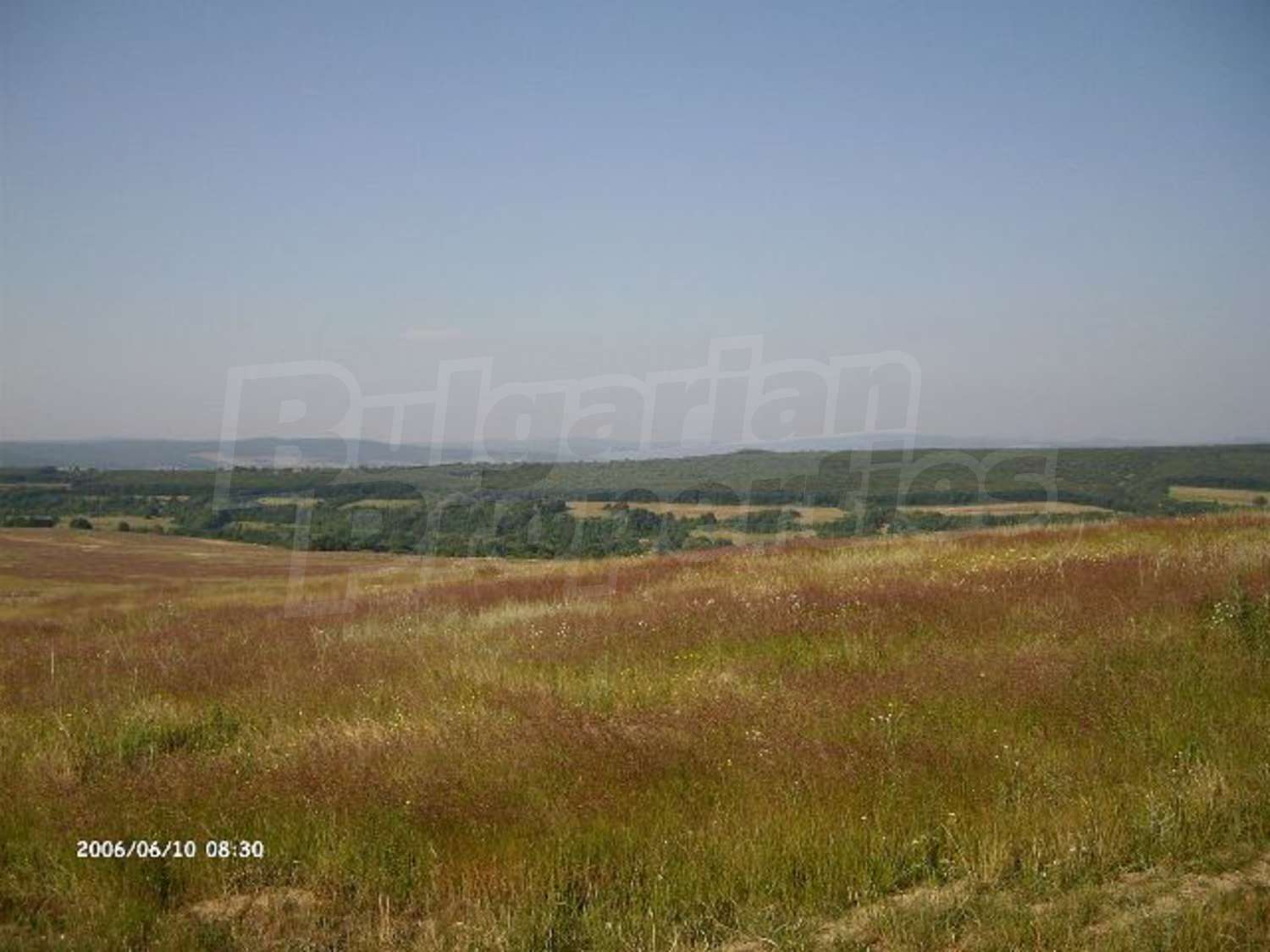Gallery Picture 10