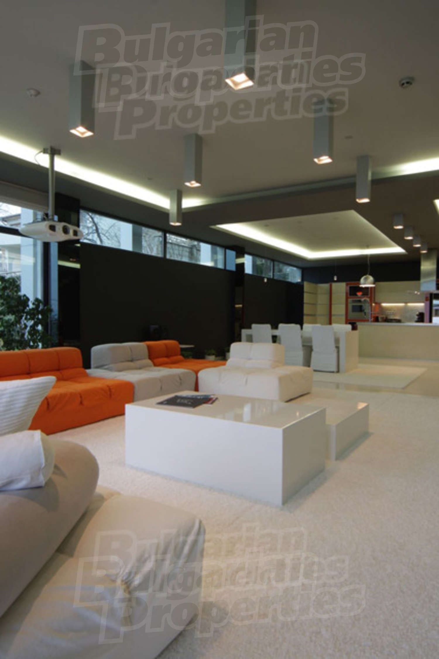 Gallery Picture 9