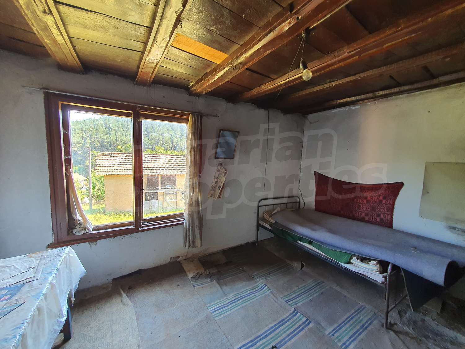 Gallery Picture 7