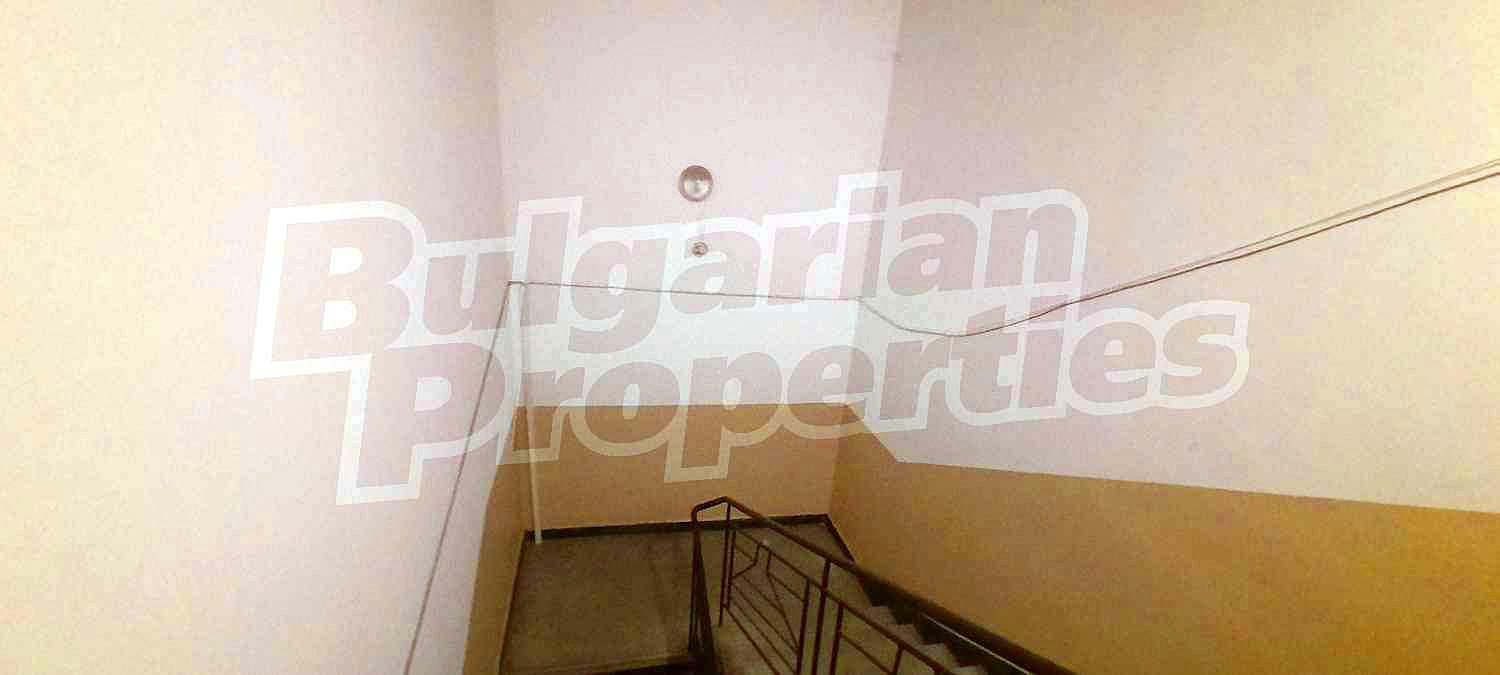 Gallery Picture 26