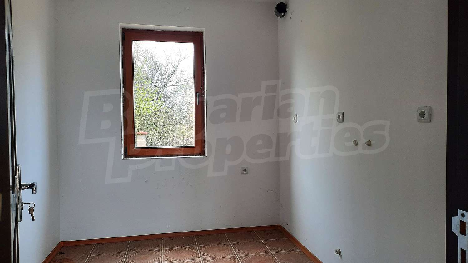 Gallery Picture 17