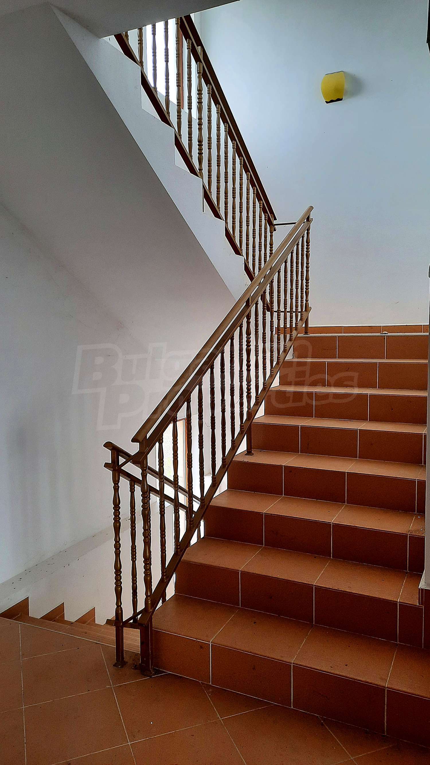 Gallery Picture 21