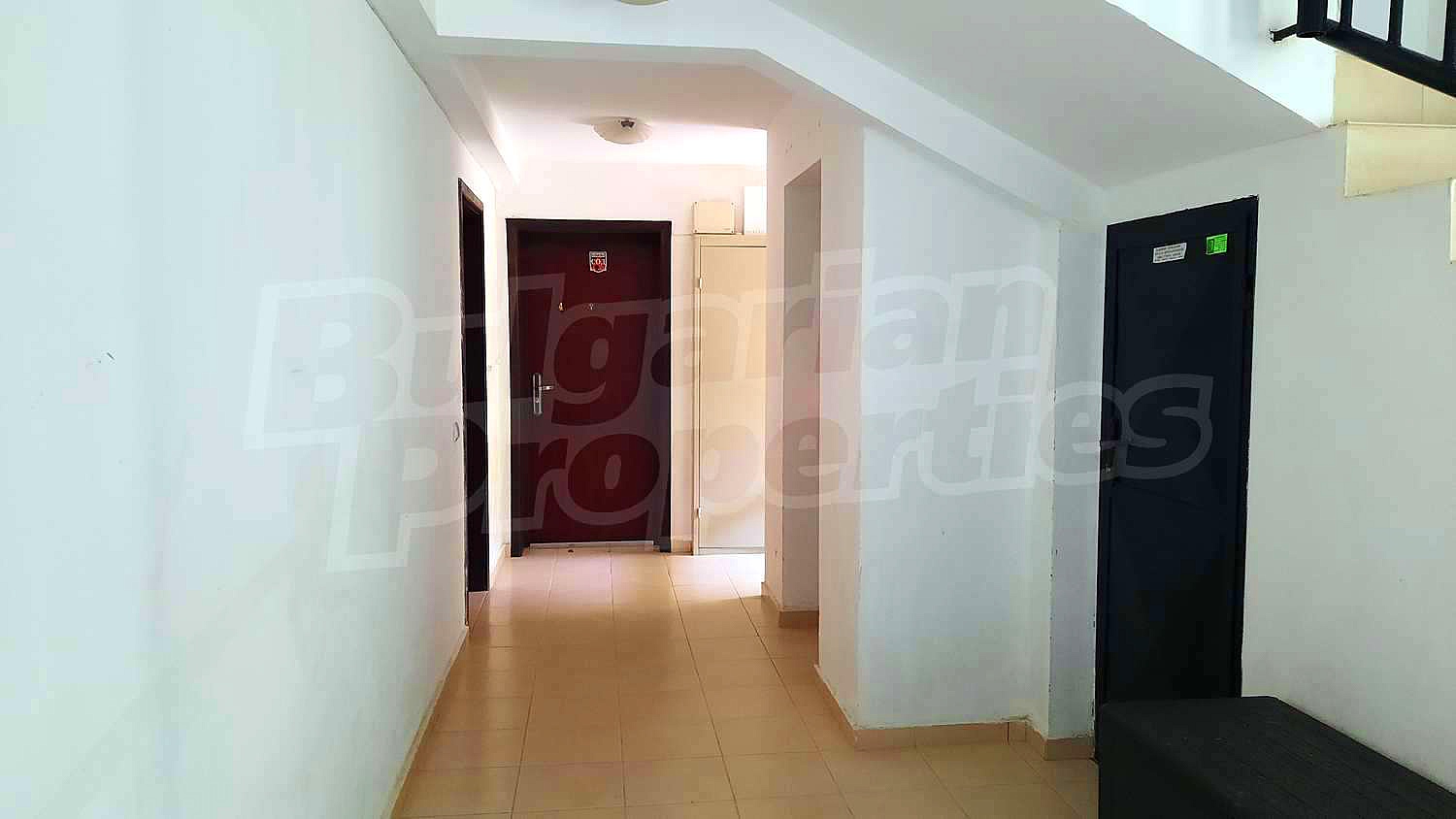 Gallery Picture 19