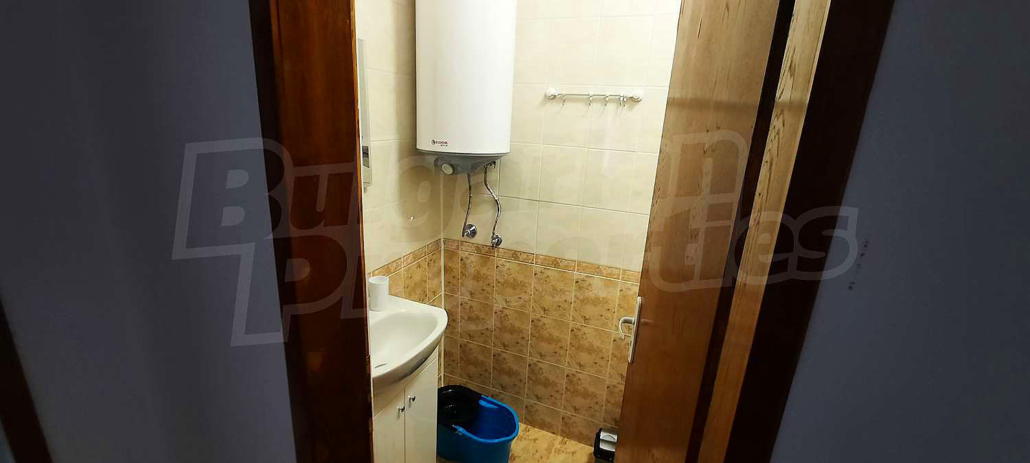 Gallery Picture 37