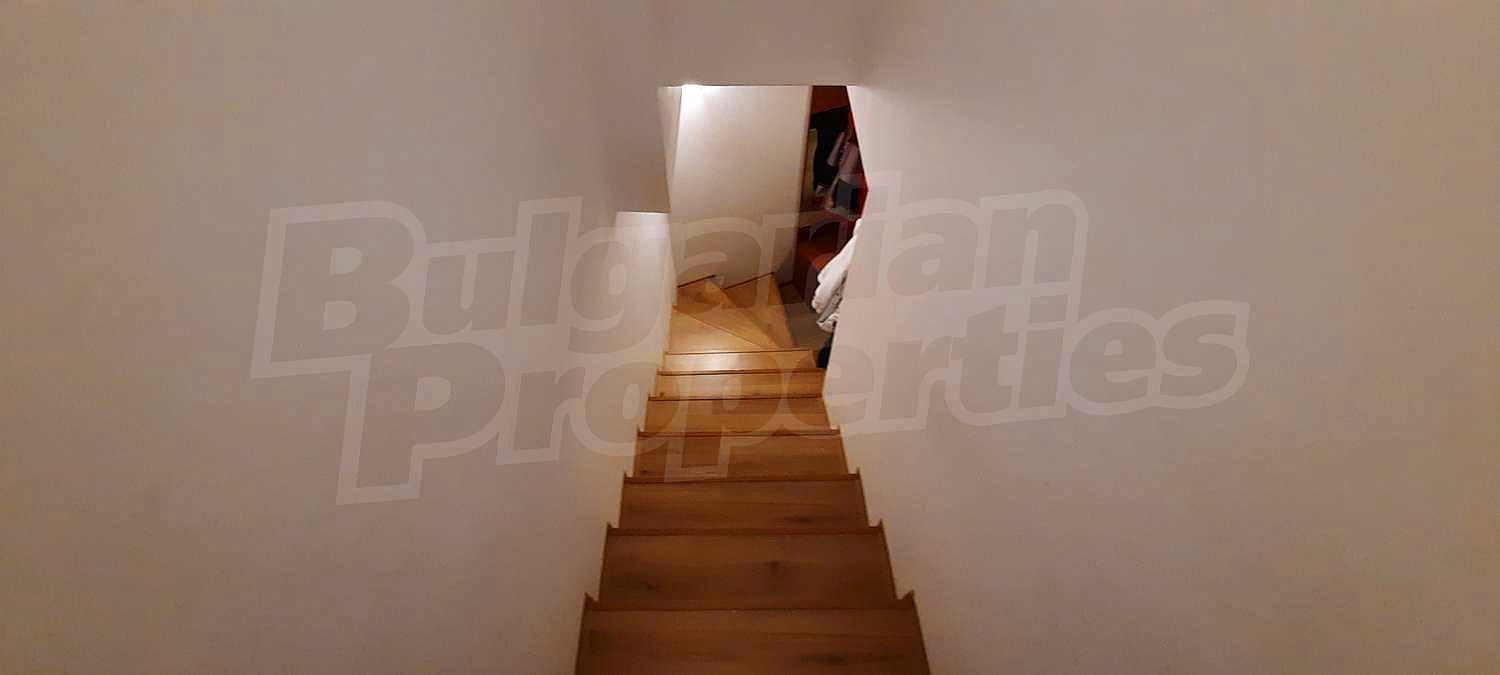 Gallery Picture 40