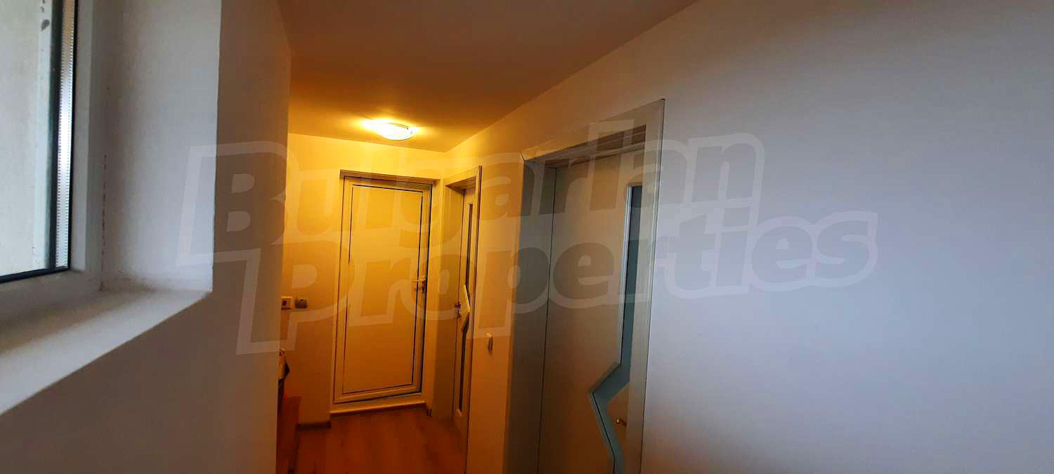 Gallery Picture 43