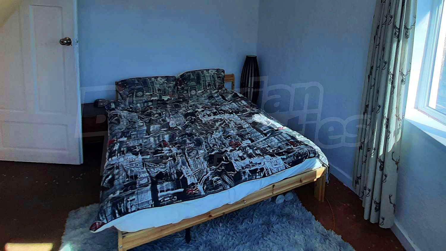 Gallery Picture 16
