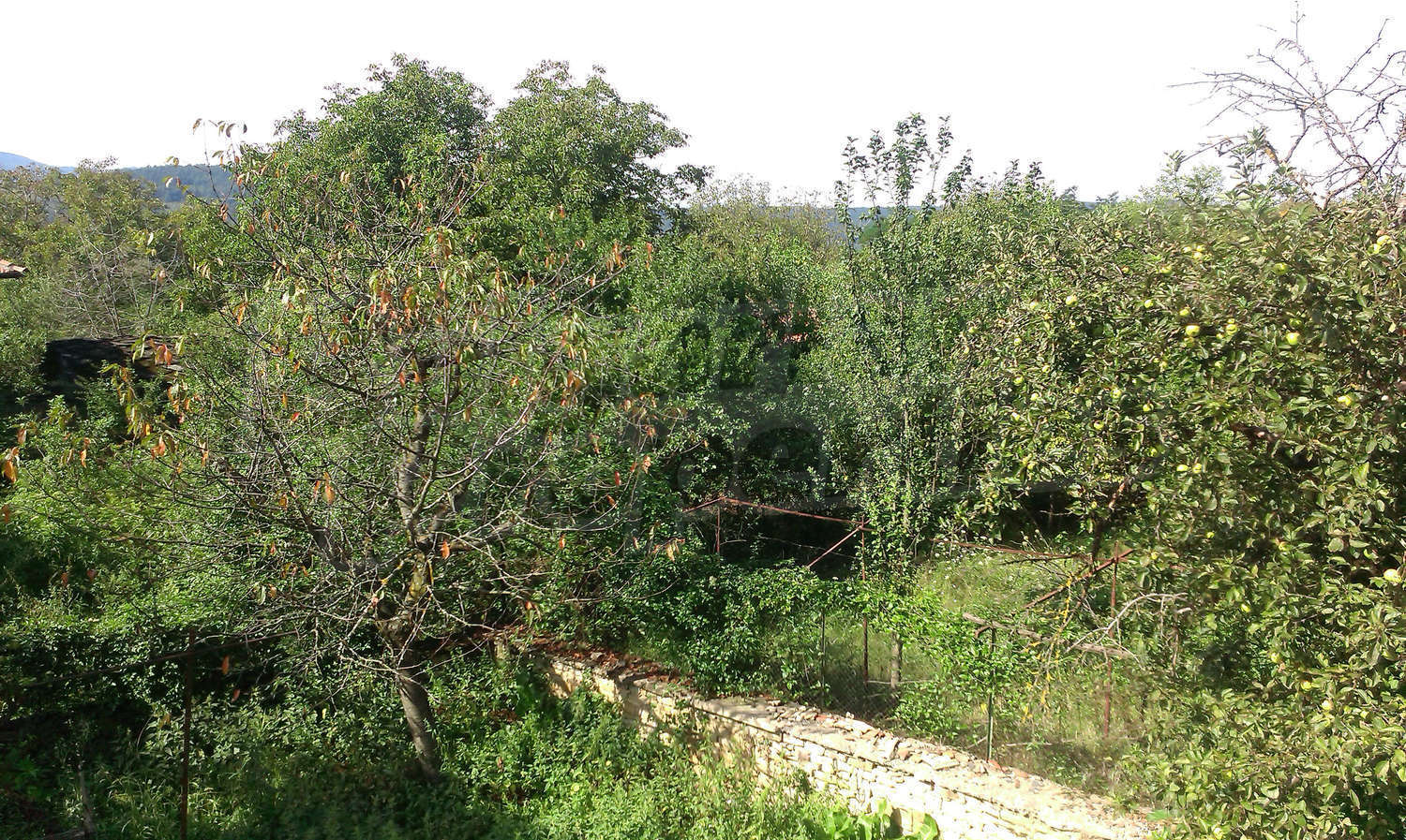Gallery Picture 14