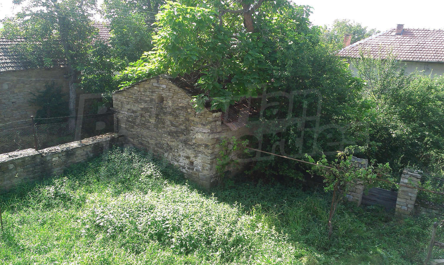 Gallery Picture 16
