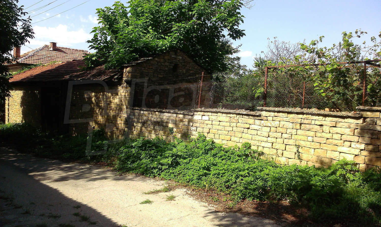 Gallery Picture 33