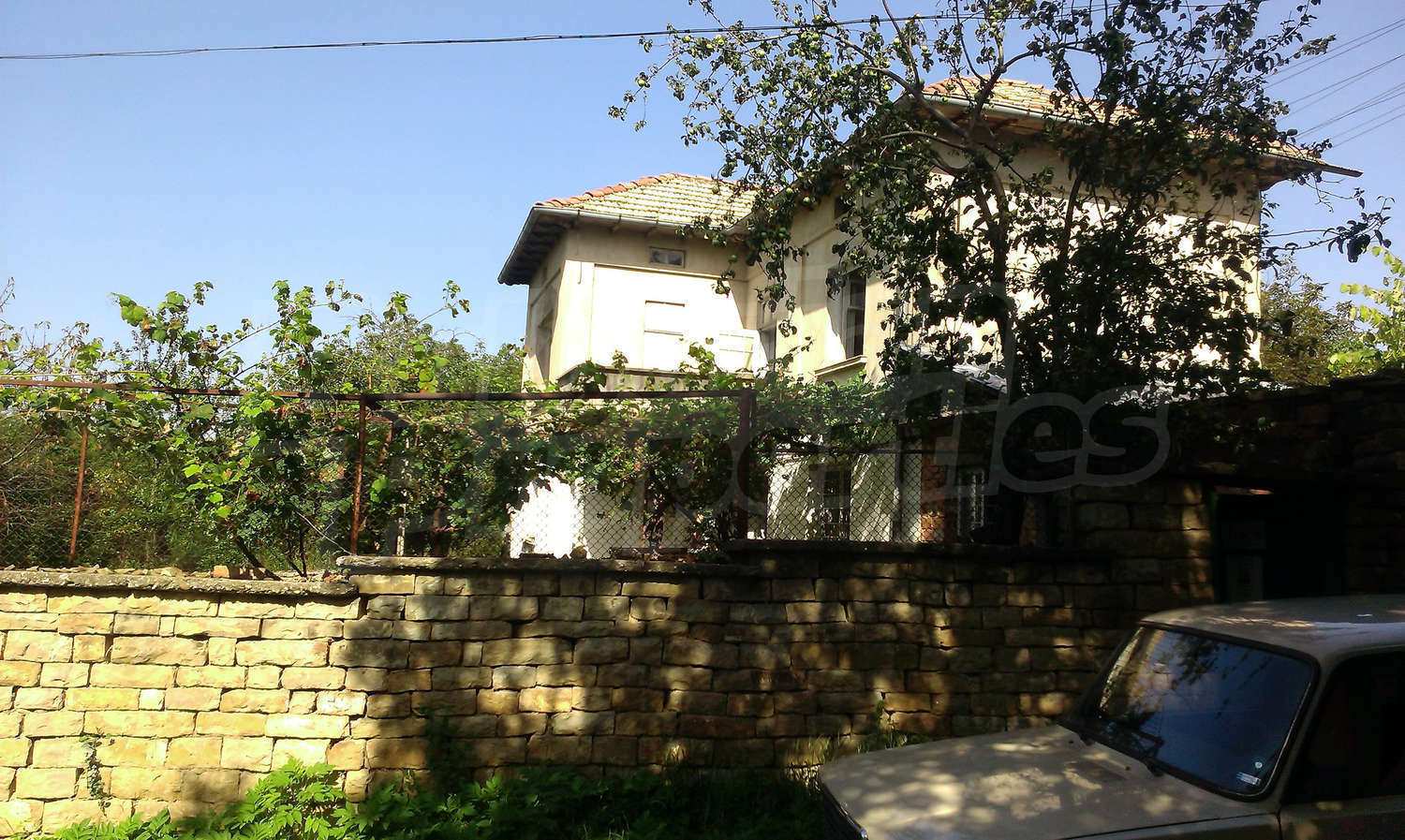 Gallery Picture 34