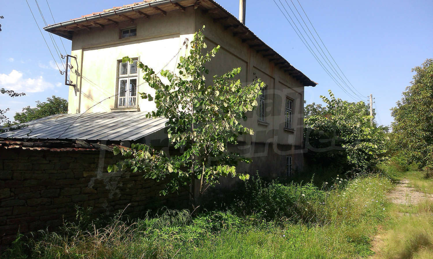 Gallery Picture 35