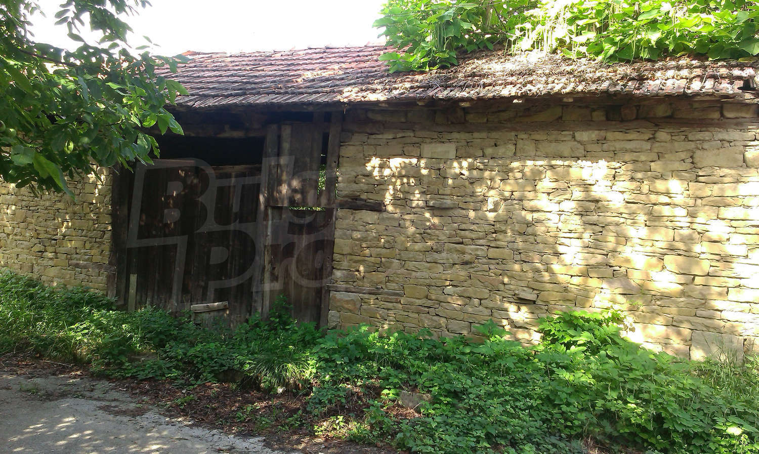 Gallery Picture 6