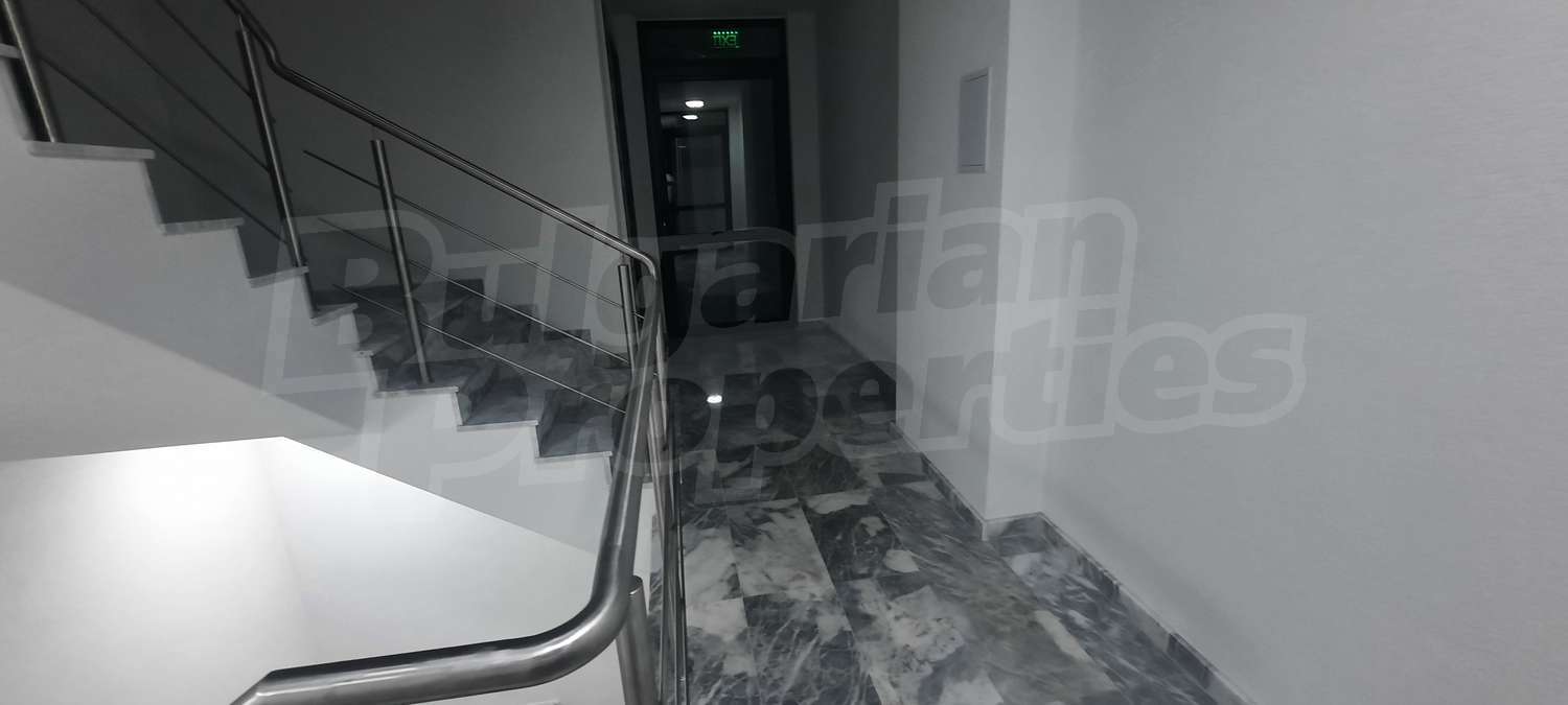 Gallery Picture 17