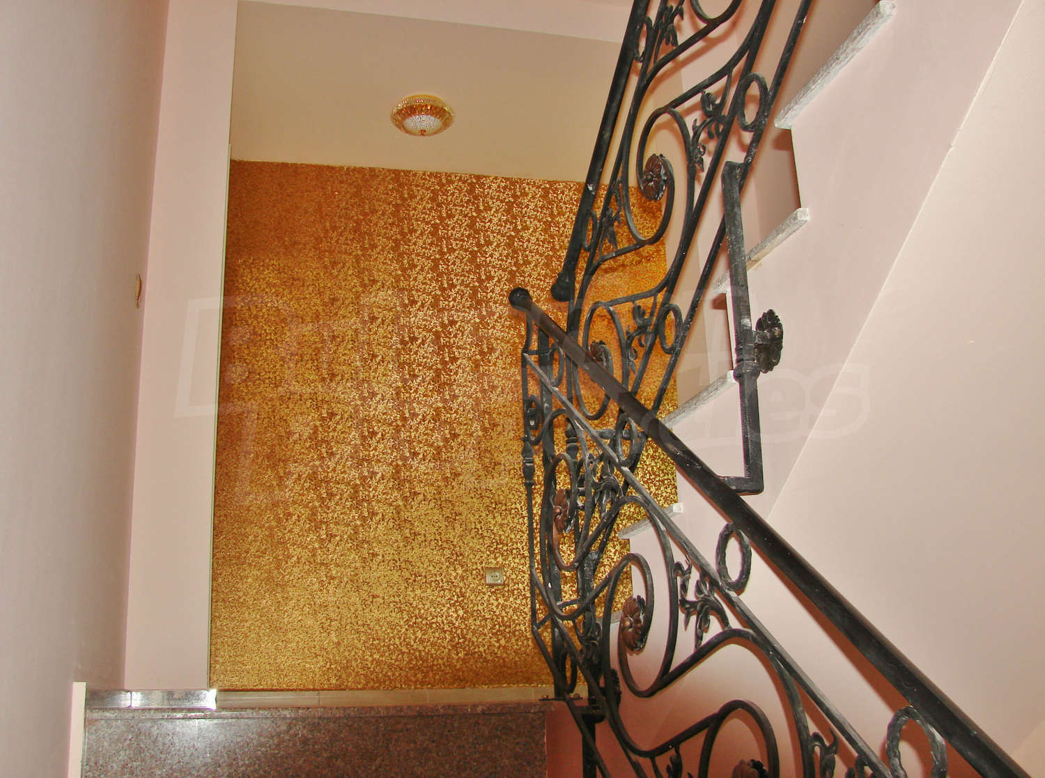 Gallery Picture 18