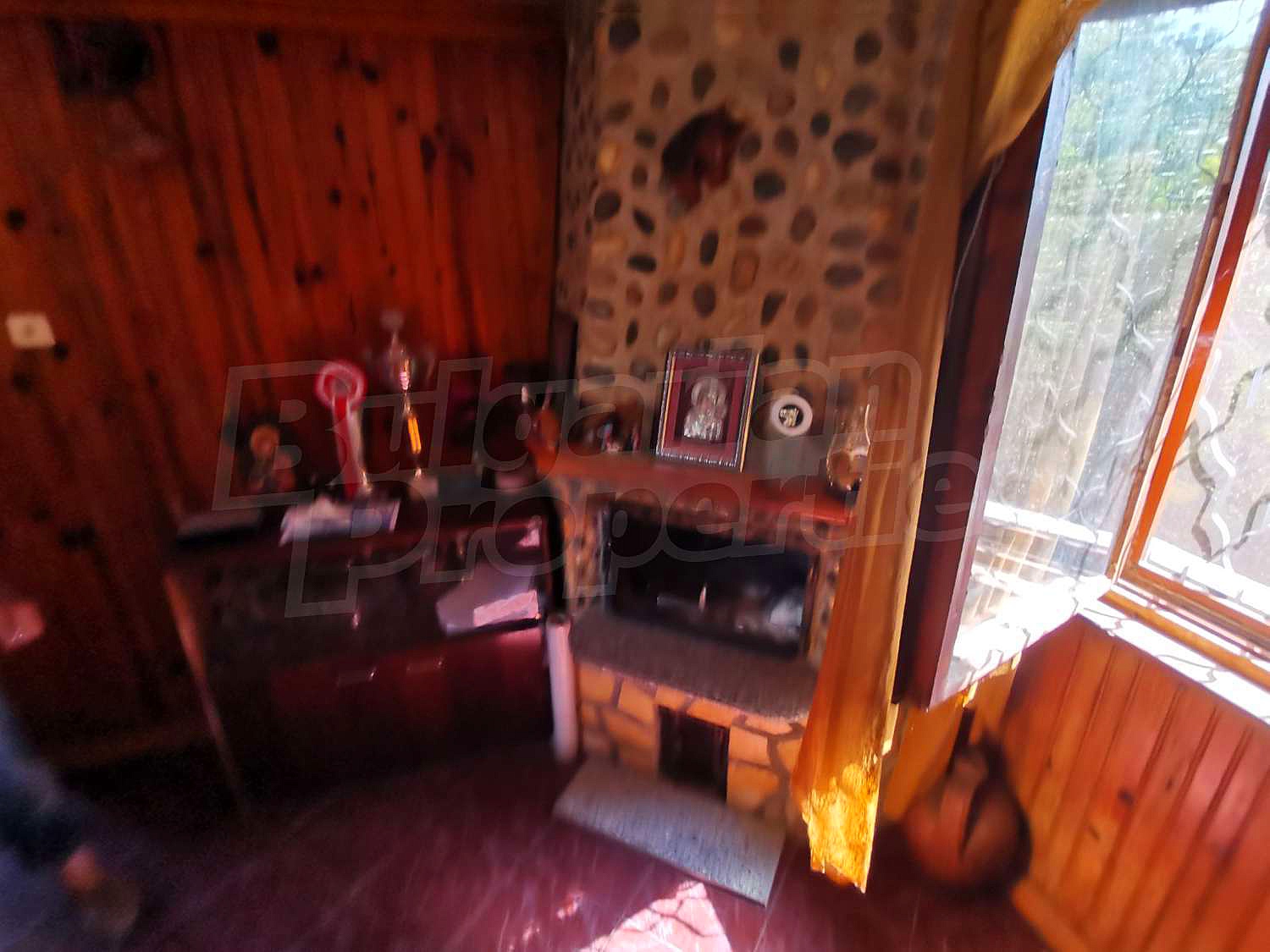 Gallery Picture 19