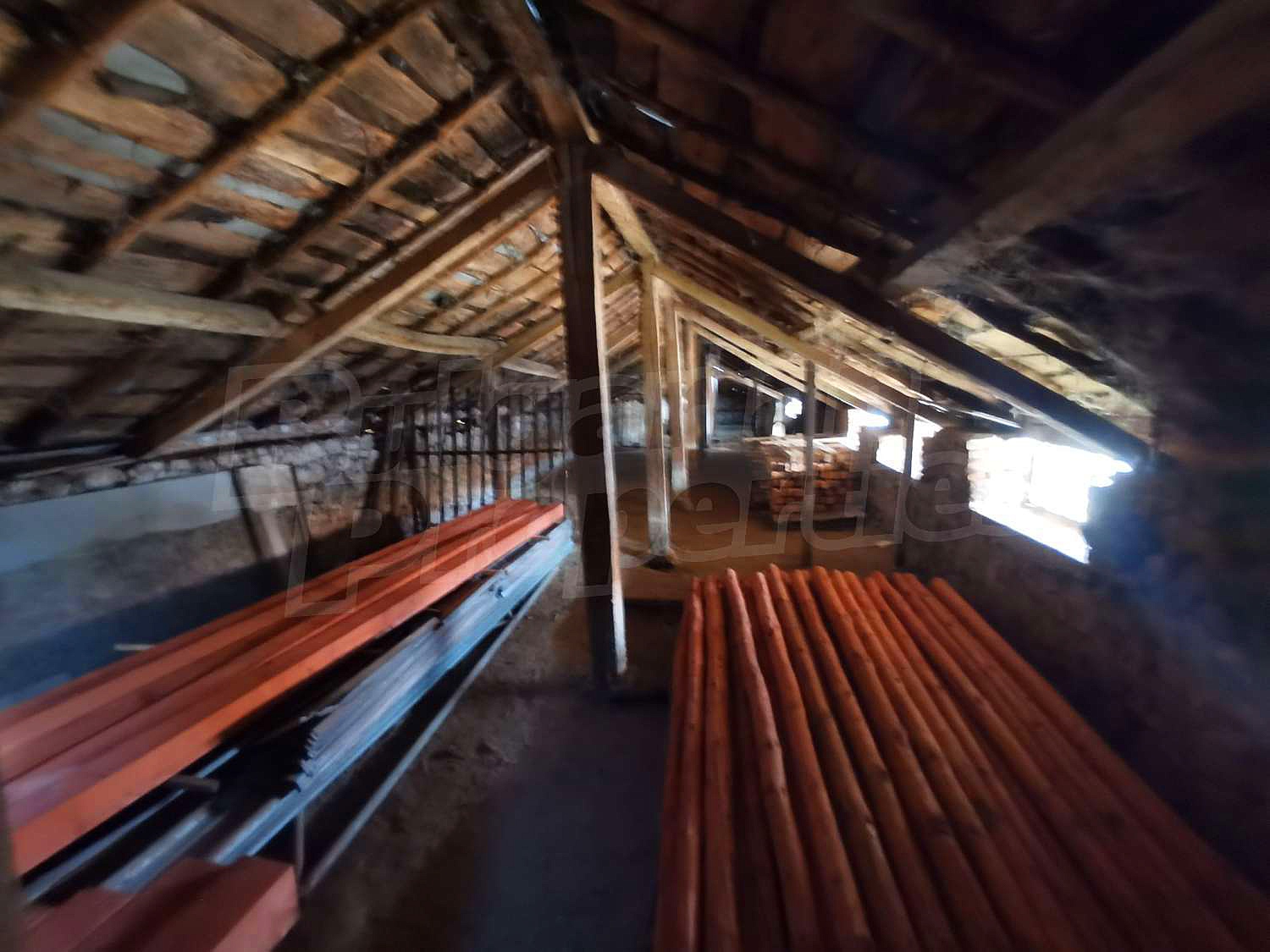 Gallery Picture 34