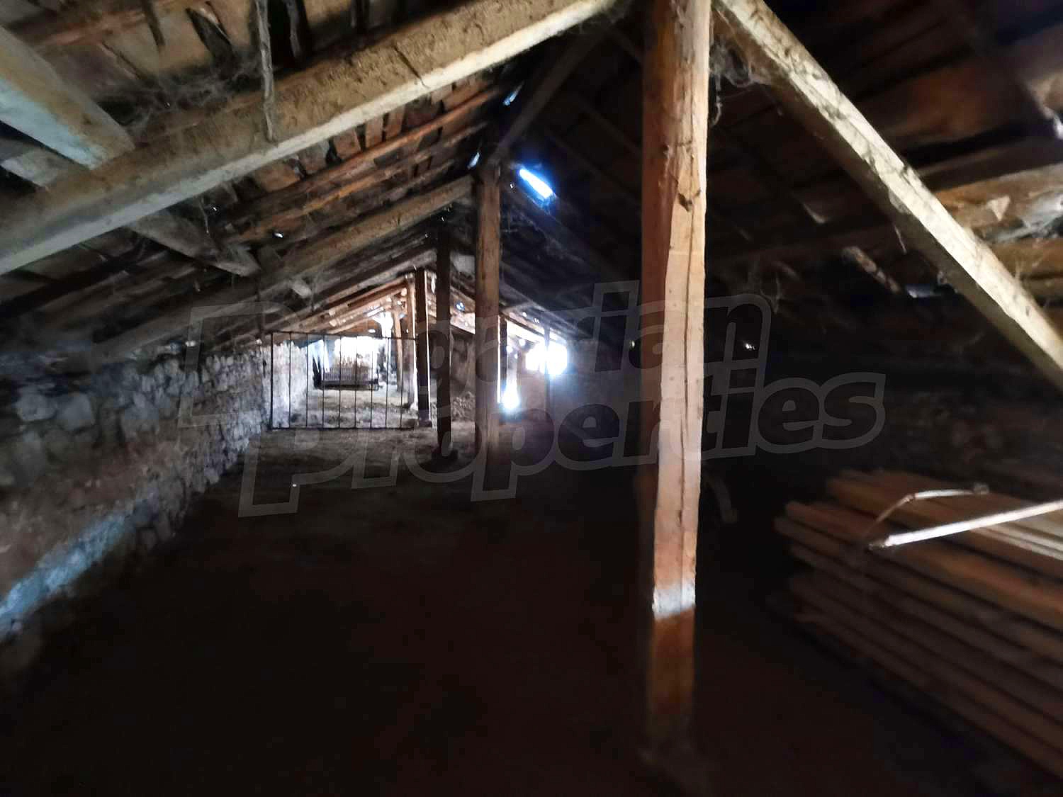 Gallery Picture 36
