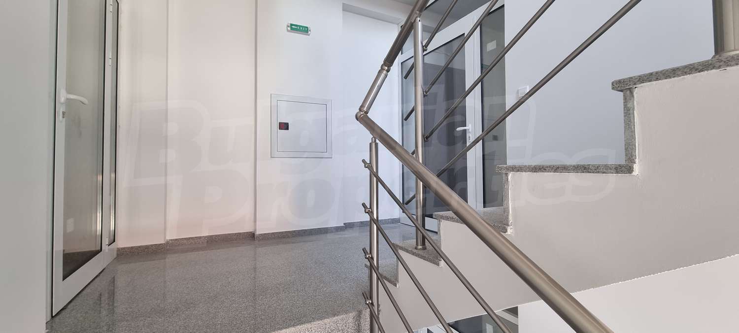 Gallery Picture 23