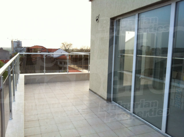 Gallery Picture 17