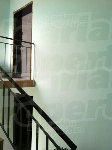 Gallery Picture 33