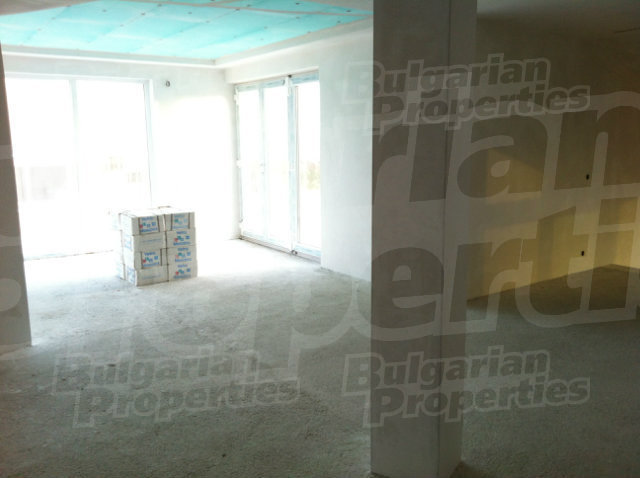 Gallery Picture 37