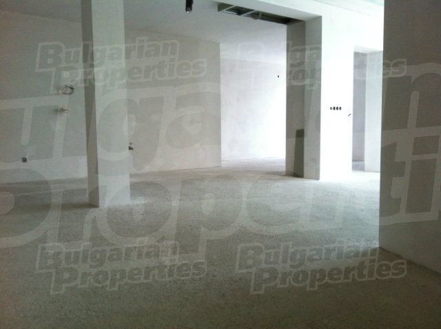 Gallery Picture 39