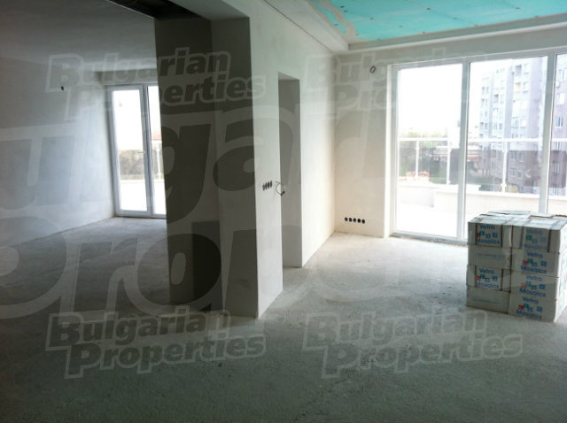 Gallery Picture 41