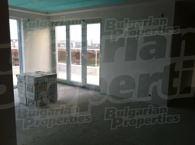 Gallery Picture 43